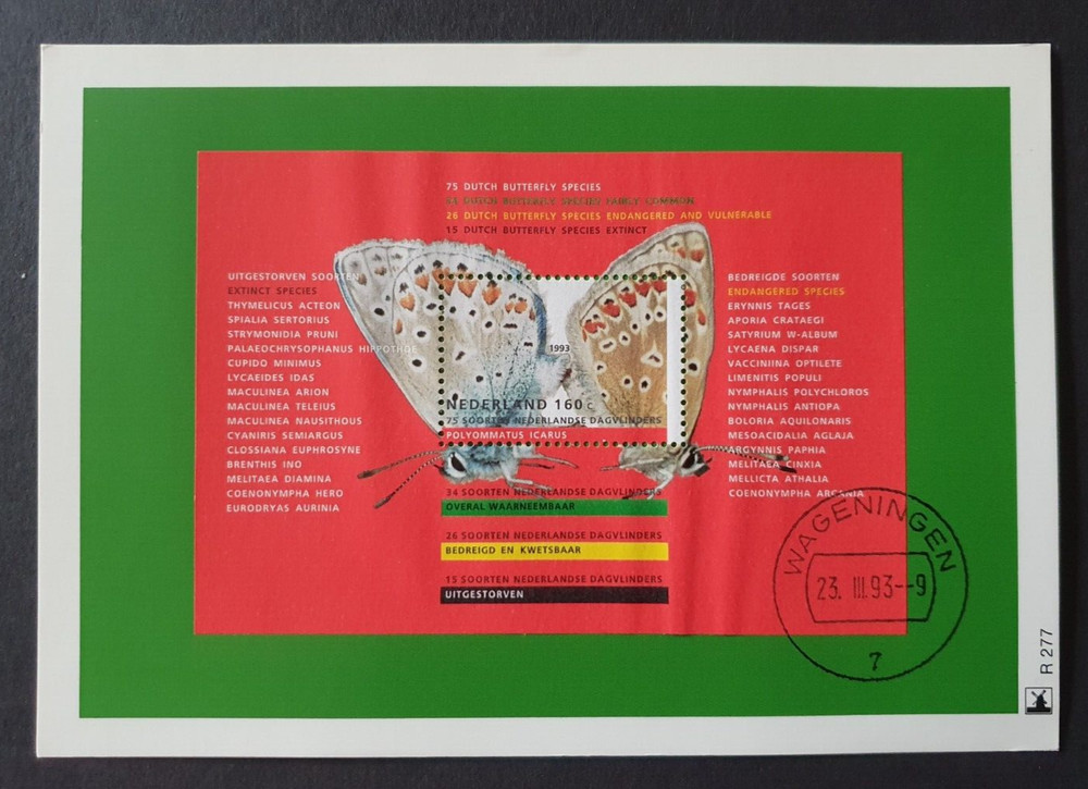 1993 NETHERLANDS NEDERLAND MAXIMUM CARD BUTTERFLY R277