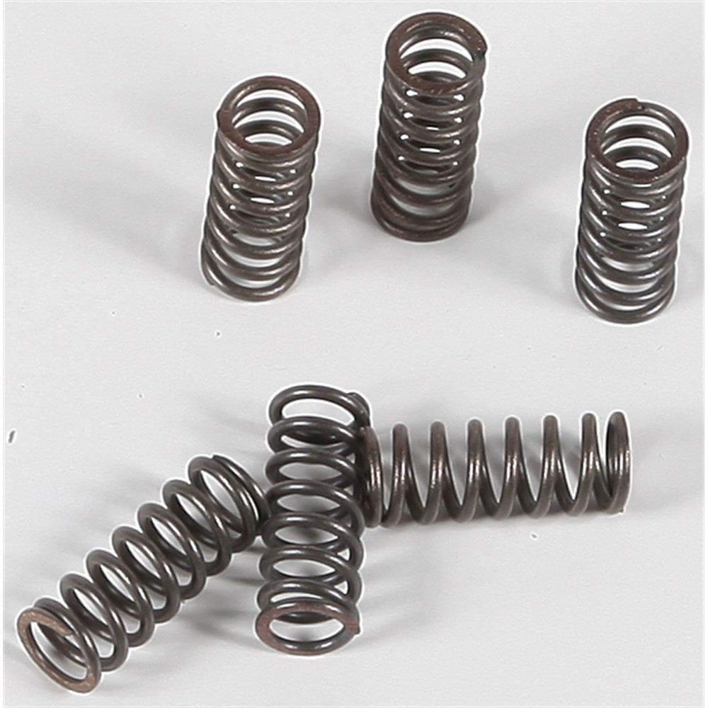 EBC Brakes Clutch Springs CSK39