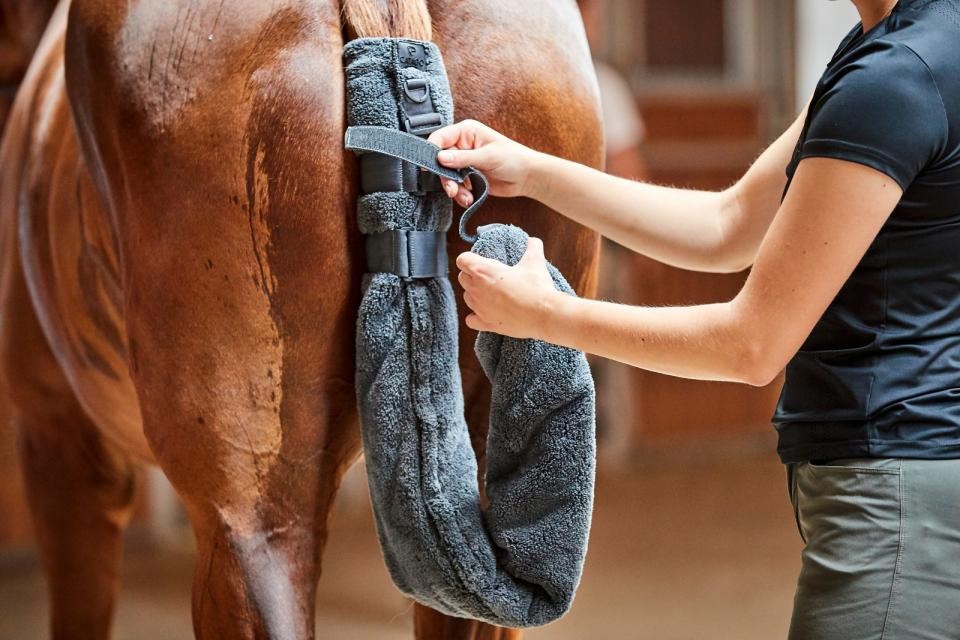 Quick-Dry Tail Guard