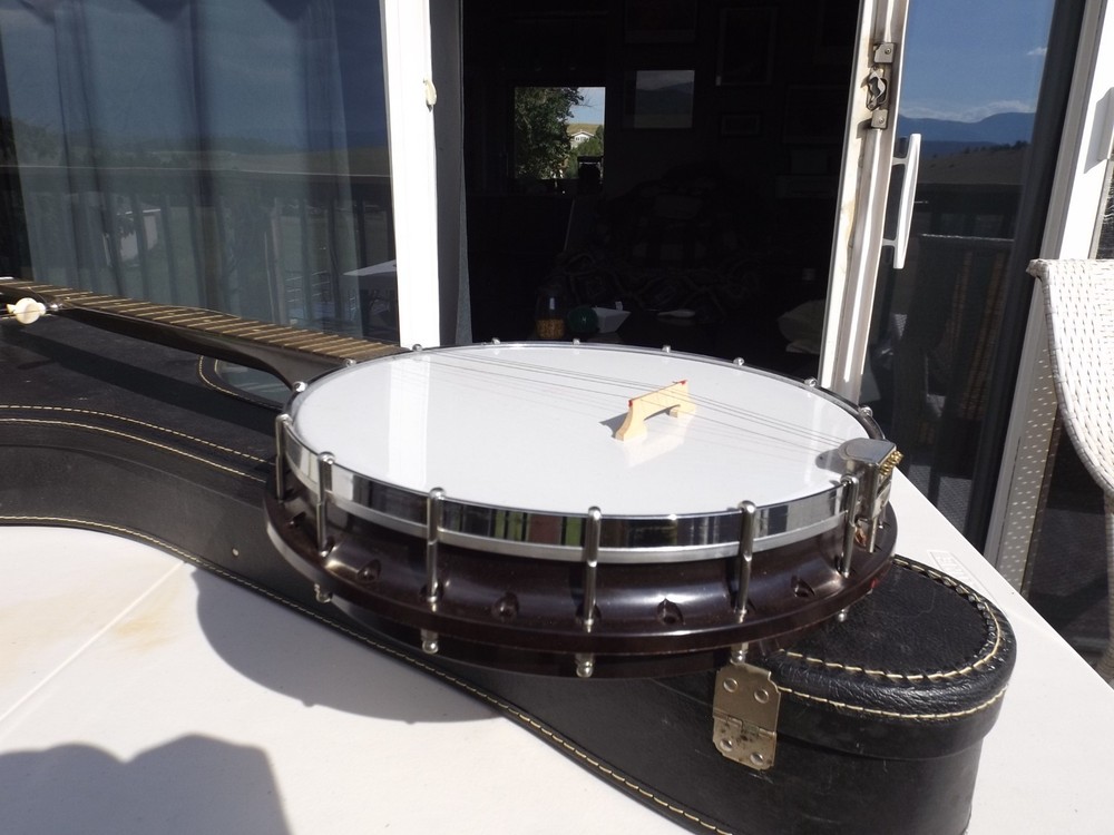 Vintage 1960's Harmony Banjo 5 string w/ case