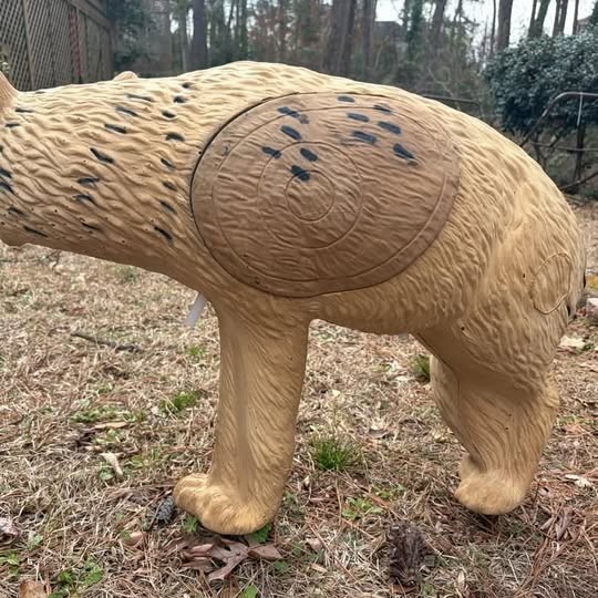 RINEHART 3D NASP COYOTE TARGET