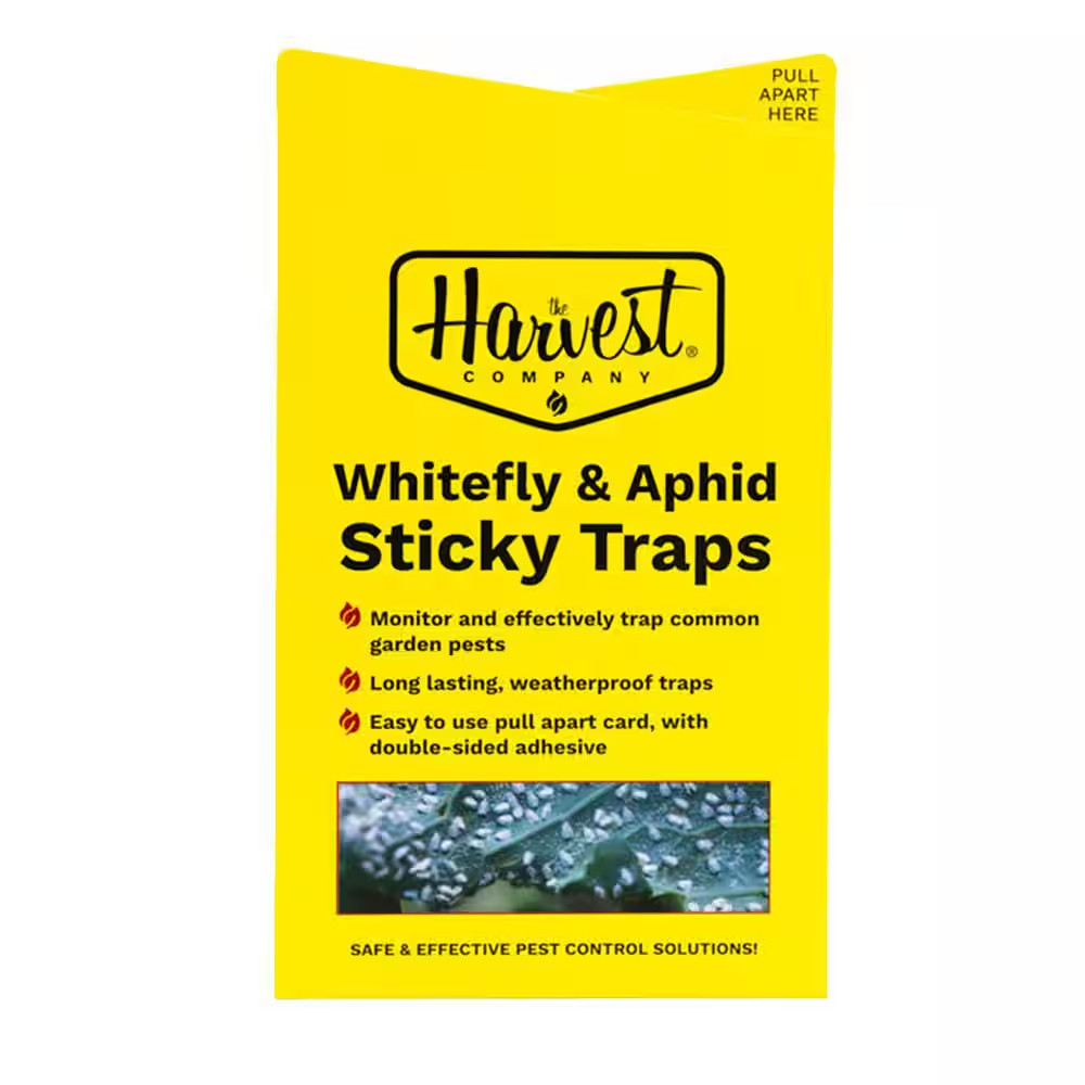 Yellow Sticky Bug Traps for White Fly, Aphids, Fungus Gnats / Pull Apart Double-