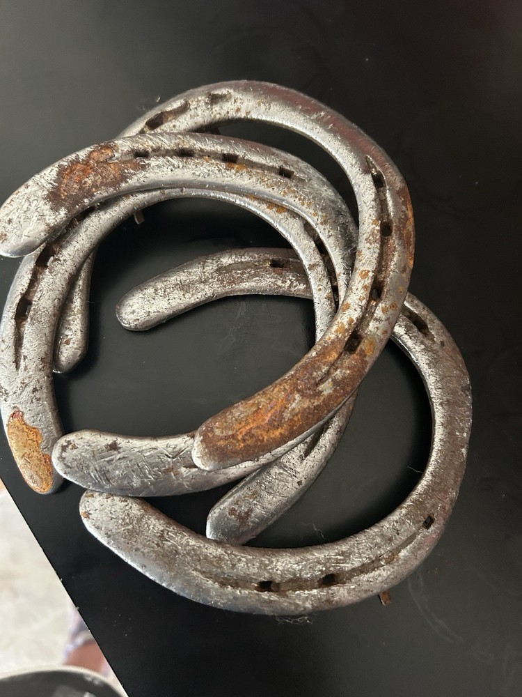 Horseshoes