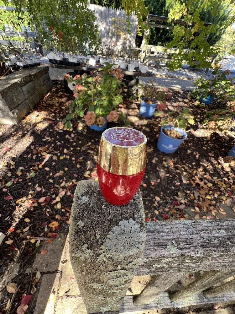 Avon Charisma Miniature Bottle