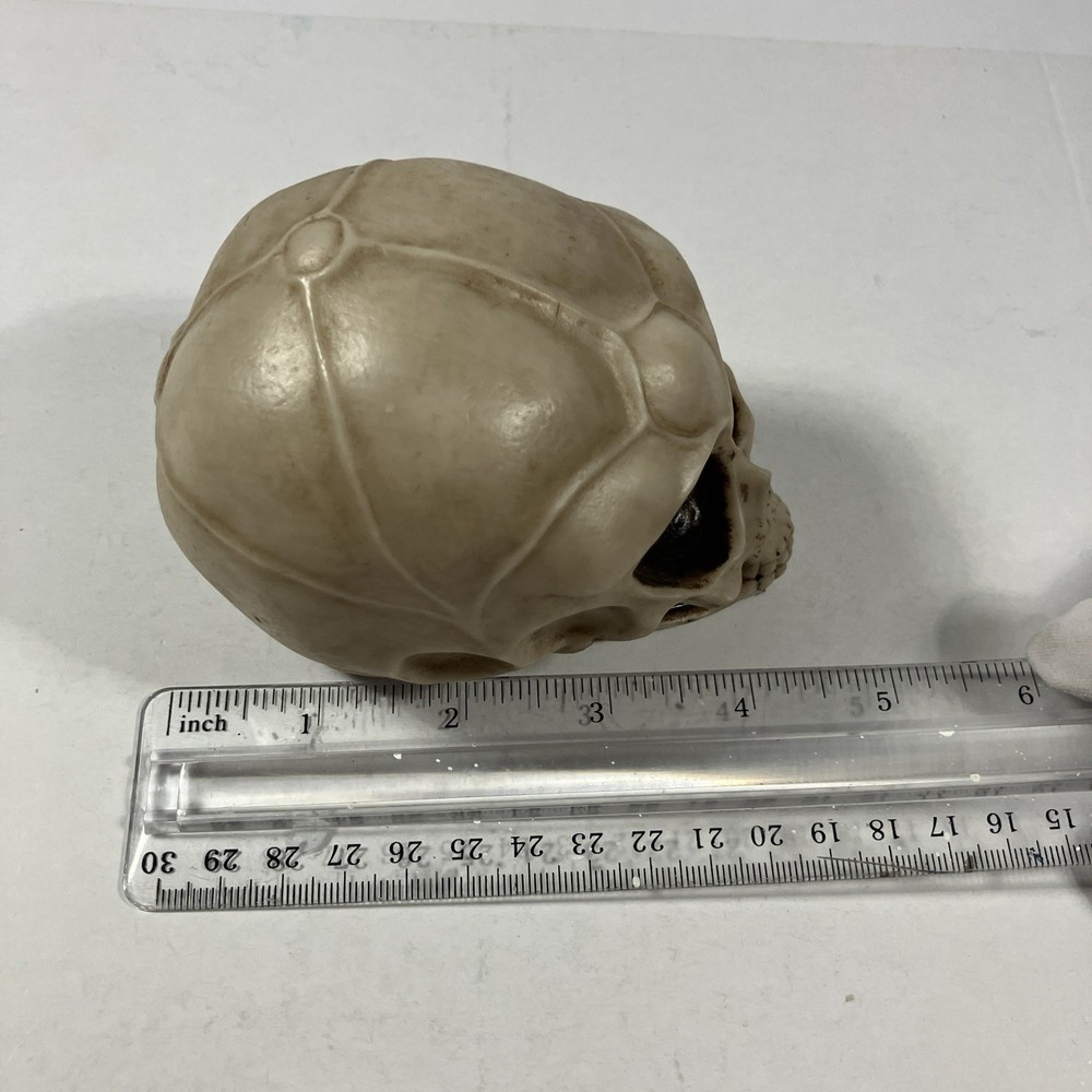 2013 Summit Collection Alien Skull