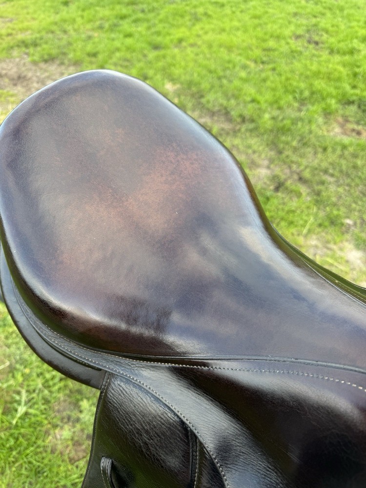 Voltaire Palm Beach 17 Inch