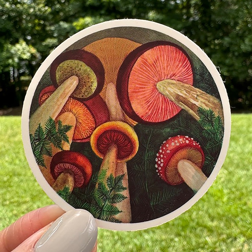 MUSHROOMS fun stickers 50 decals water bottle computer