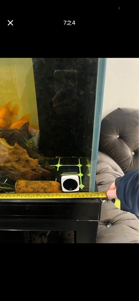 180G Fish Tank Setup with Overflow System