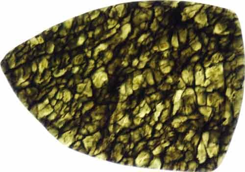 Olivine Slab #18