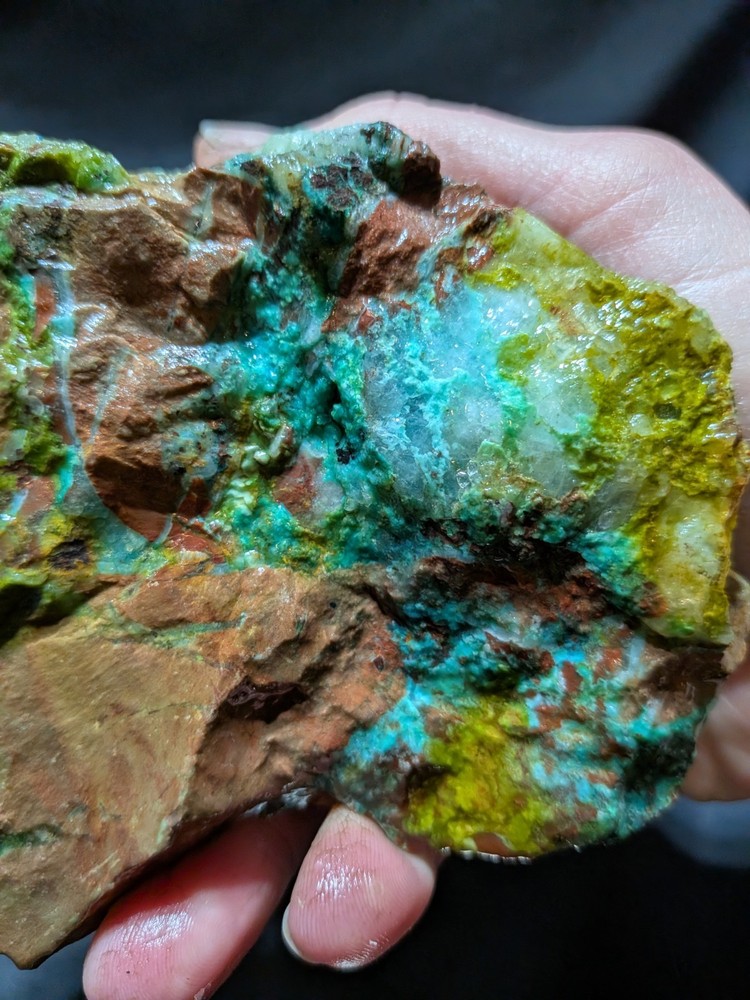 Chrysocolla Wood Specimen Natural Form (1lb)