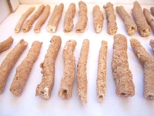 FULGURITE Morocco 3.3" Only $16 each! FOSSILIZED LIGHTNING!