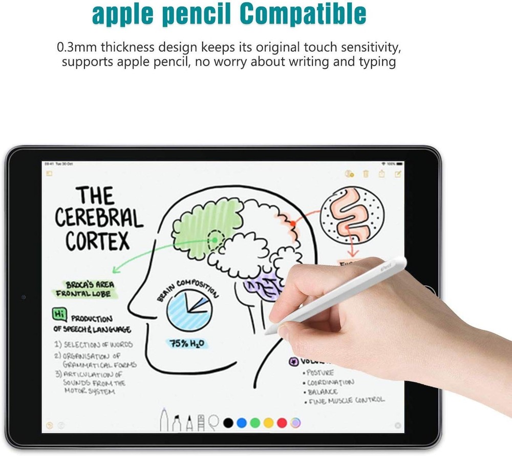 TiKeDa 2 Pack Screen Protector for iPad 9th 8th 7th Generation 10.2 Clear