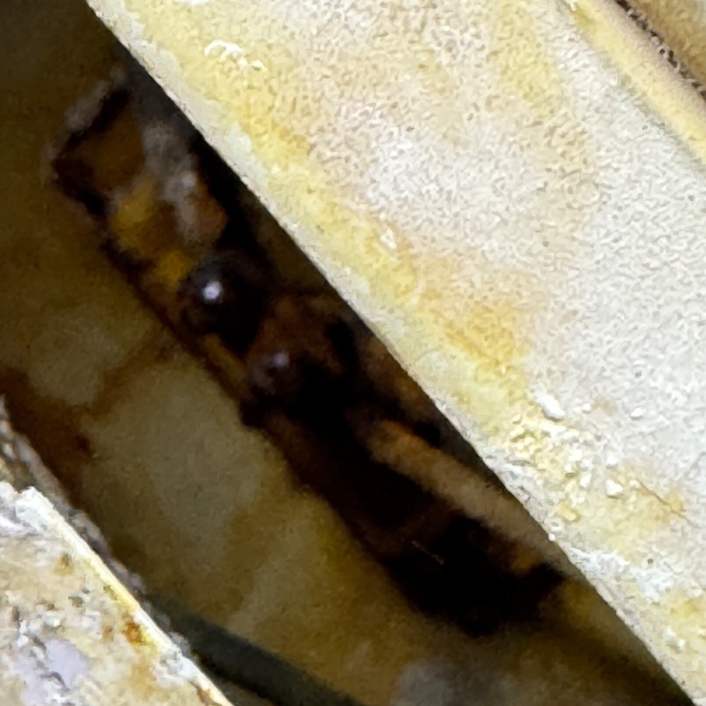 Space X Starship 34 - Recovered ENGINE BAY LIGHT - Flight 8