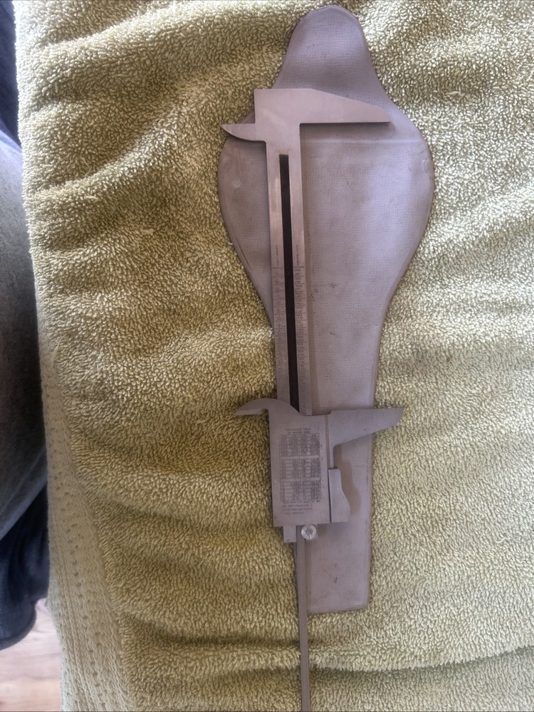 Vernier Caliper Stainless Steel