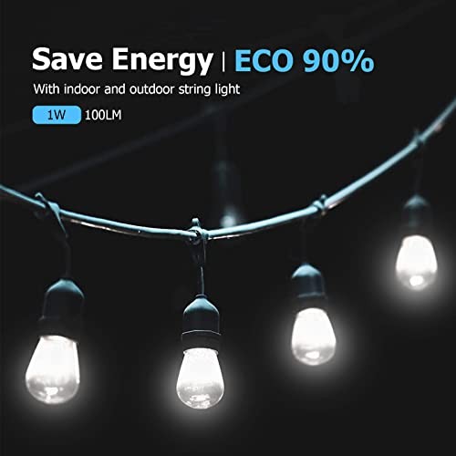 S14 5000K Daylight Outdoor String Lights Bulbs Replacement, Shatterproof &
