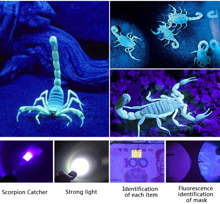 Ultra bright 250000lm ultraviolet flashlight Ultraviolet flashlight black light