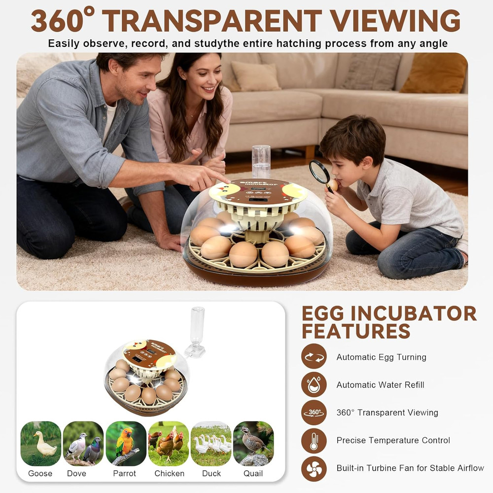 Simple 12-Egg Incubator for Beginners, Auto Egg Turn, Steady Self-Regulating Hum