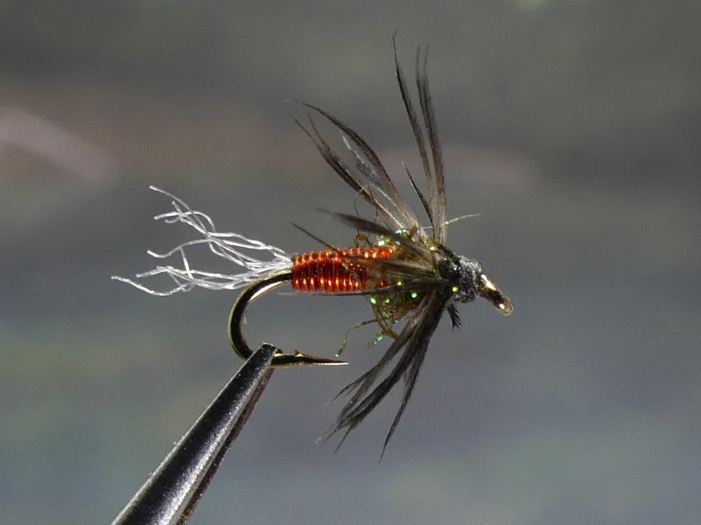 6 Flies -Red Midge Pupa