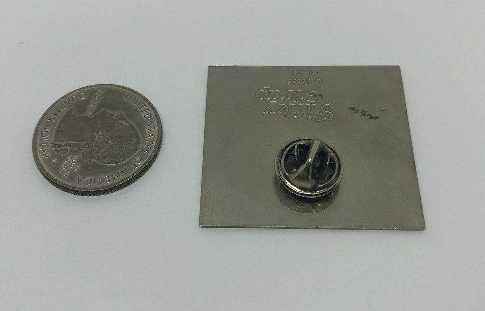 Share The Feeling Of Volunteering Pin
