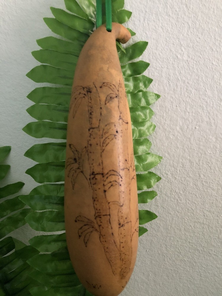 Fresh Bamboo  Ornament Gourd Garden  Collection