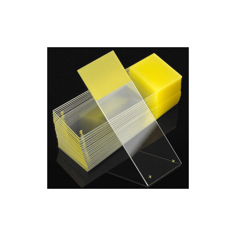 GLOBE SCIENTIFIC  Microscope Slide,Yellow,PK72 46AW88