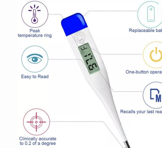 QQcute Digital Body Thermometer - Clinical Basic Thermometer Waterproof Tip