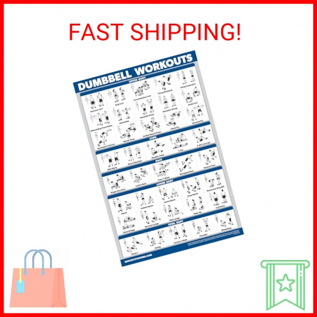 Palace Learning Dumbbell Workout Exercise Poster - Free Weight Body Building Gui