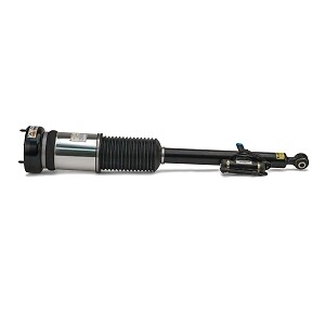 Rr Strut Arnott AS2821