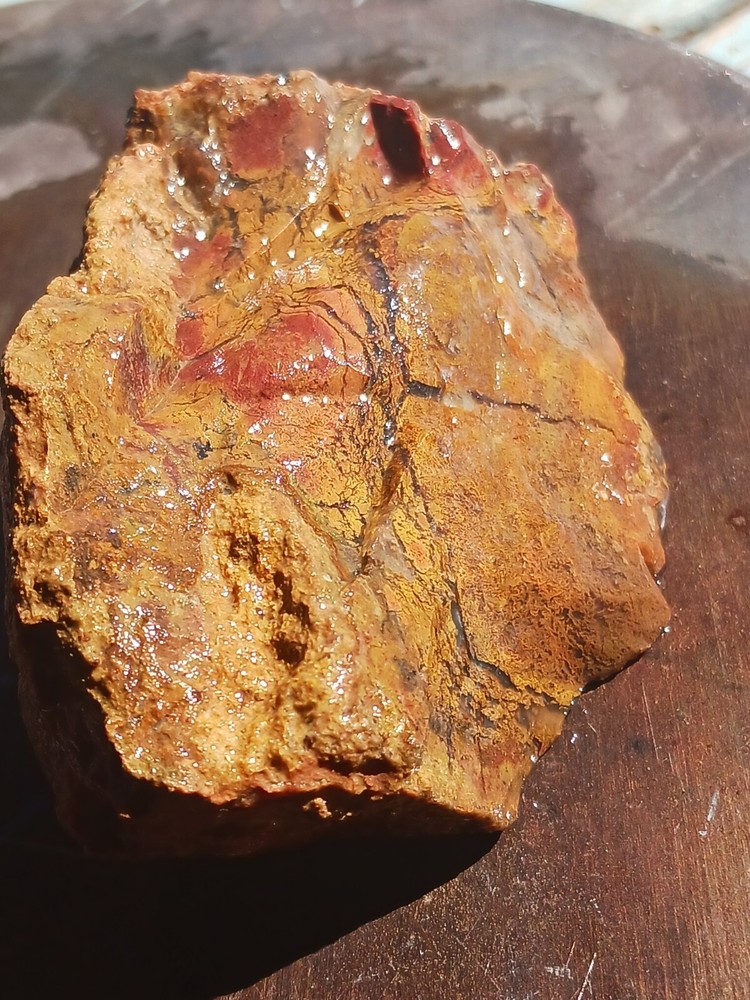 Jasper Agate With Silicized Veinlets Throughout Specimen Red Yellow Jasper