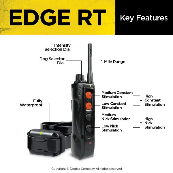 Dogtra EDGE RT Expandable for Elite Performance and Demanding Training Needs