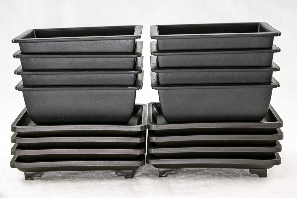 8 Sets Rectangular Plastic Shohin Bonsai Training Pot, Cactus & Succulent Plante