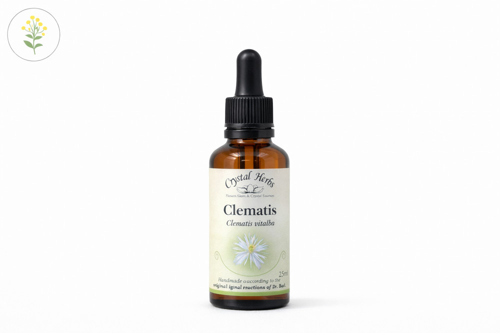 Clematis - Bach Flower Remedies