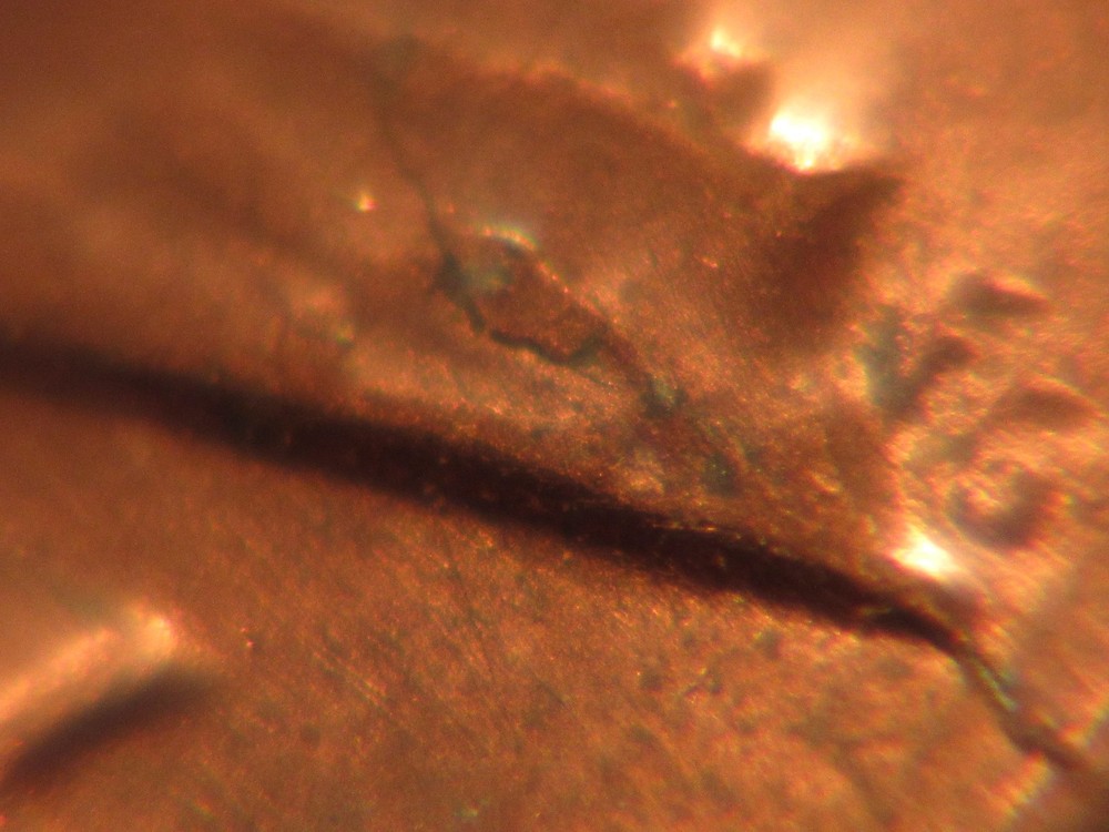 1984 P Lincoln Penny with Reverse Die Crack Error