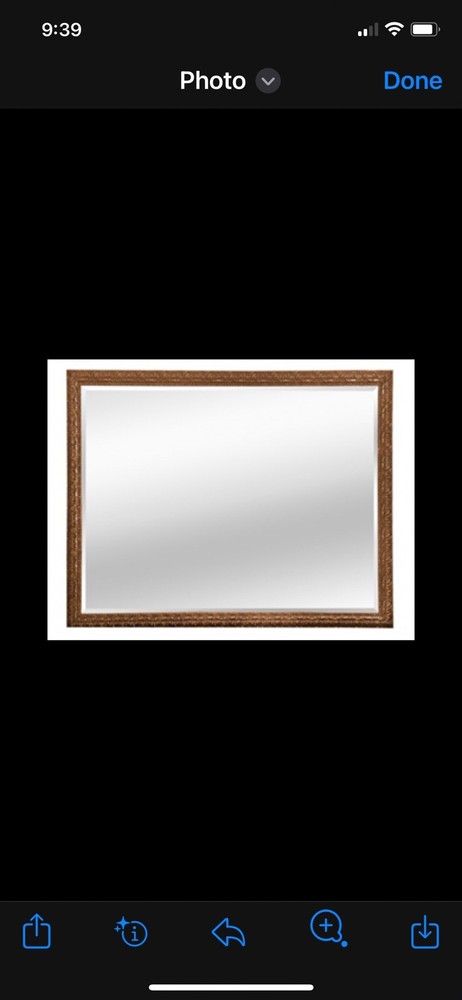 Large Horizontal French Carved and Gilded Mirror