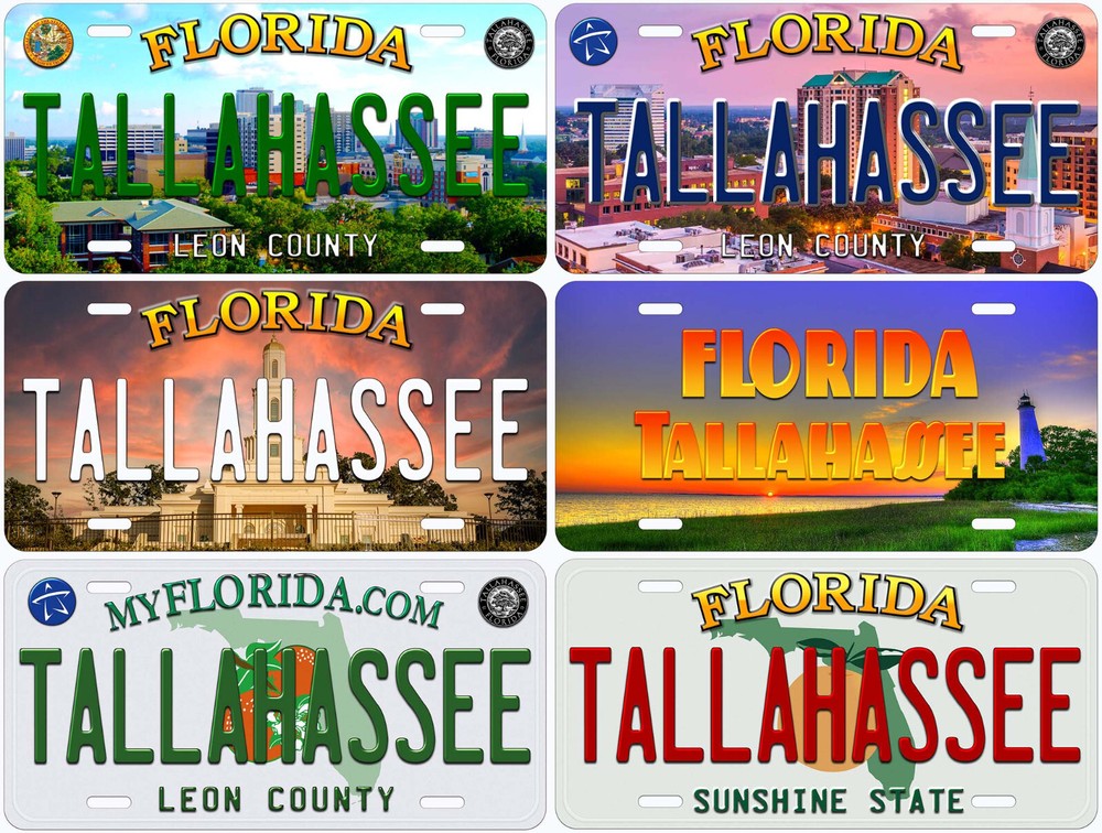 Tallahassee Florida Novelty Car License Plate