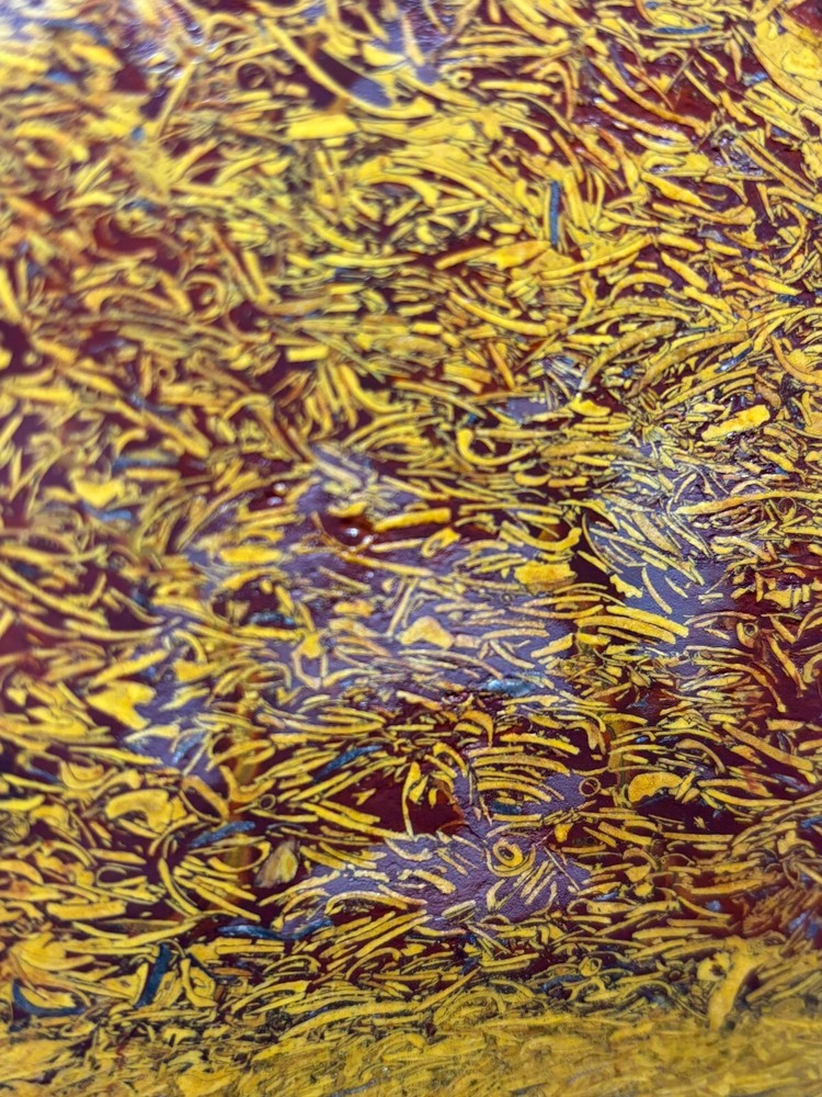 Script Stone Jasper Slab Cabbing Lapidary Collecting Combo Ship Avail