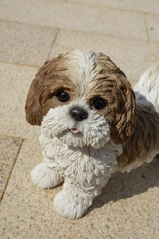 Gift Brown & White Standing Shih TZU