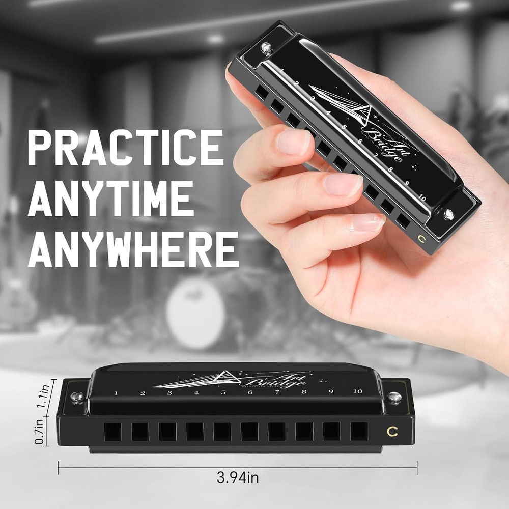 SDREAM Blues Harmonica for Adults Beginner,Professional Musicians, Students,Harm