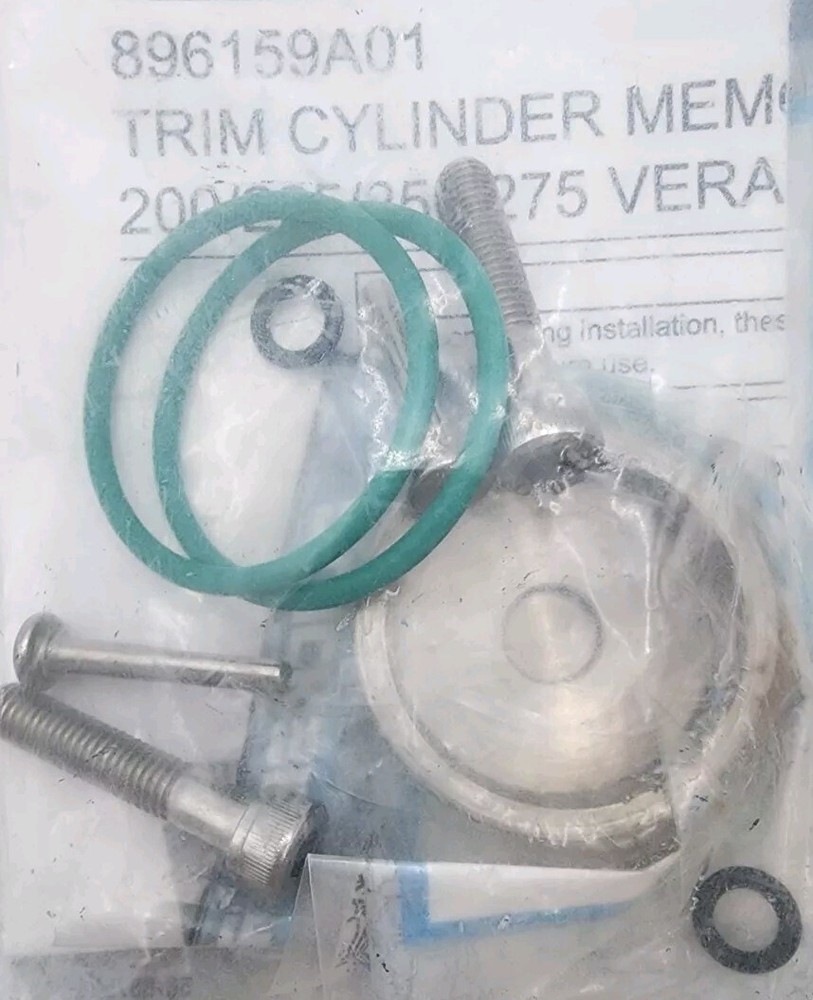 Mercury Quicksilver Piston Kit 896159A01 OEM/Genuine