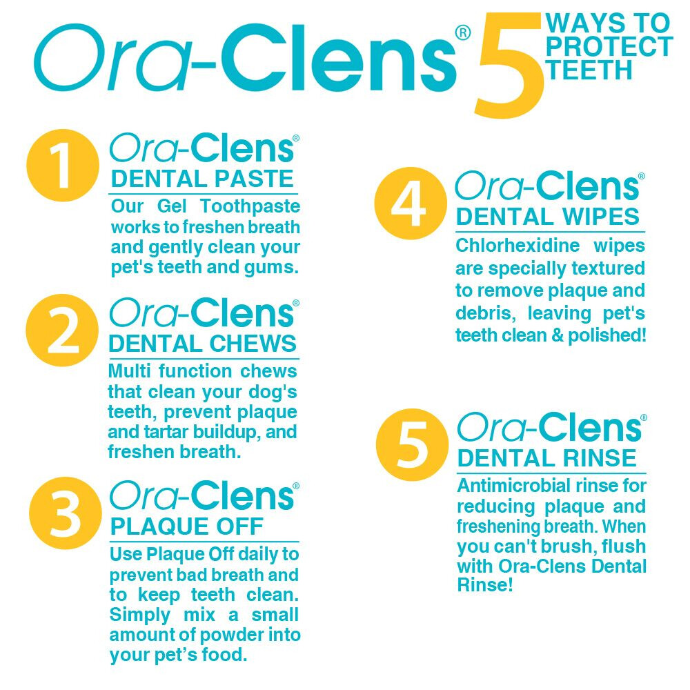 Ora-Clens Dual Ended Toothbrush