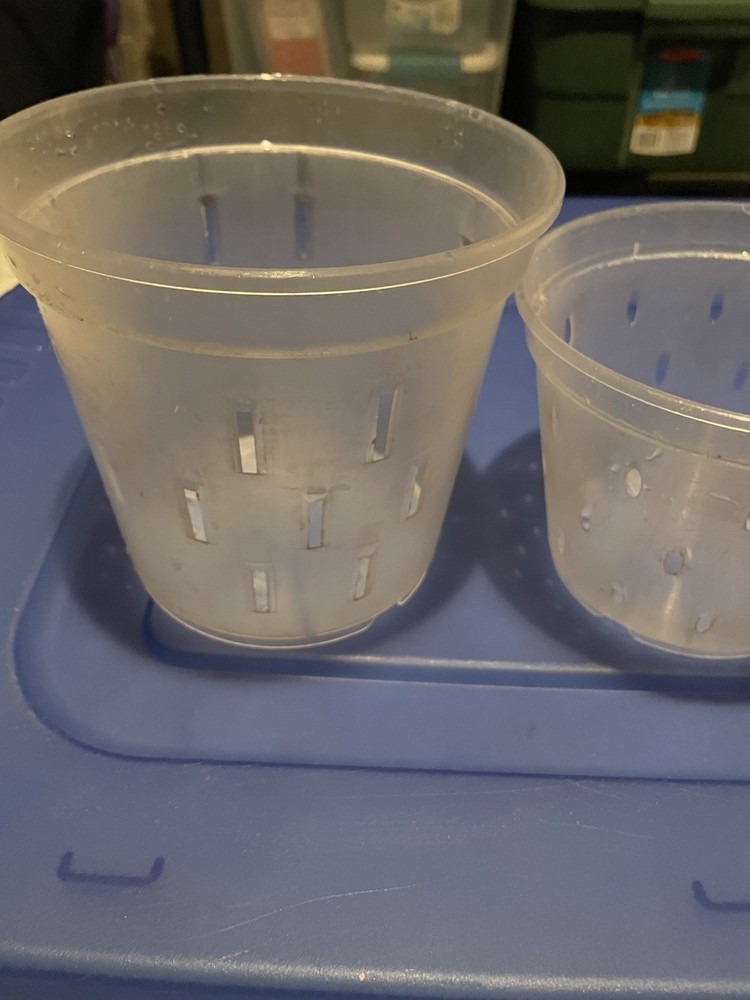 Orchid Drainage Pots, Grow Medium, Watering System.