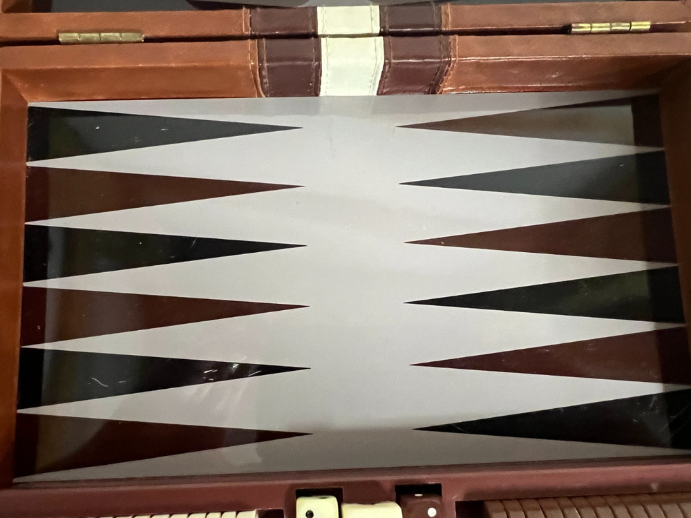 Backgammon in Travel Case 9 x 6.5 - Magnetic