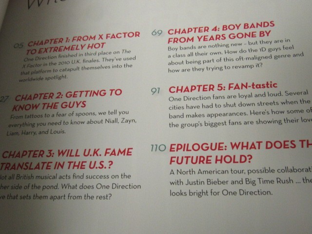 2012 One Direction: What Makes You Beautiful Book