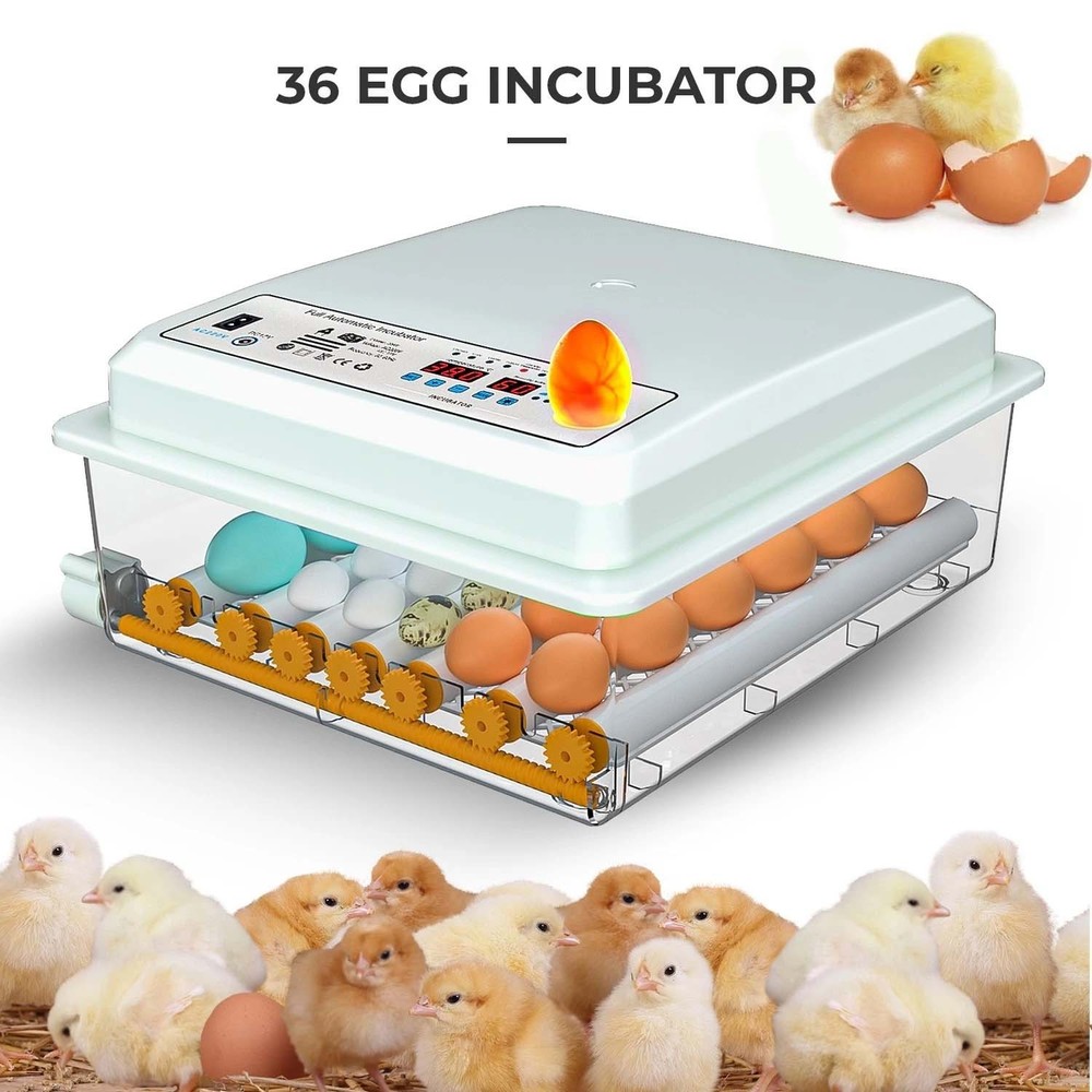 Egg Incubator 36 Eggs with Temperature Humidity Control Automatic Turning UK