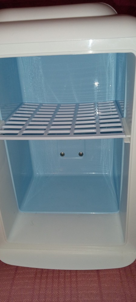 Mini Fridge / Warmer