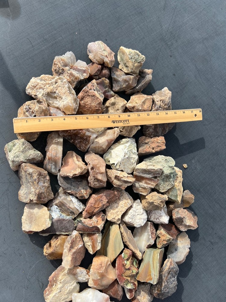 Owyhee Agate/Jasper Rough Lot 30.5 lbs (LL4)
