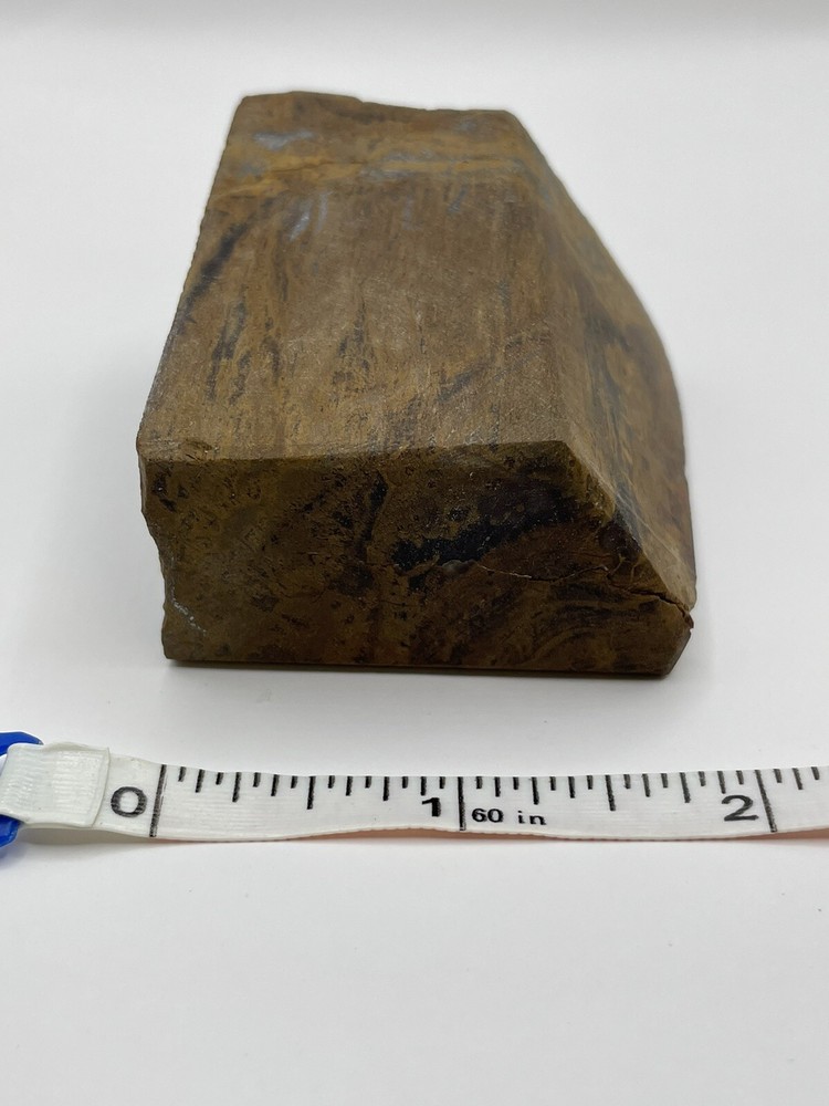 Petrified wood