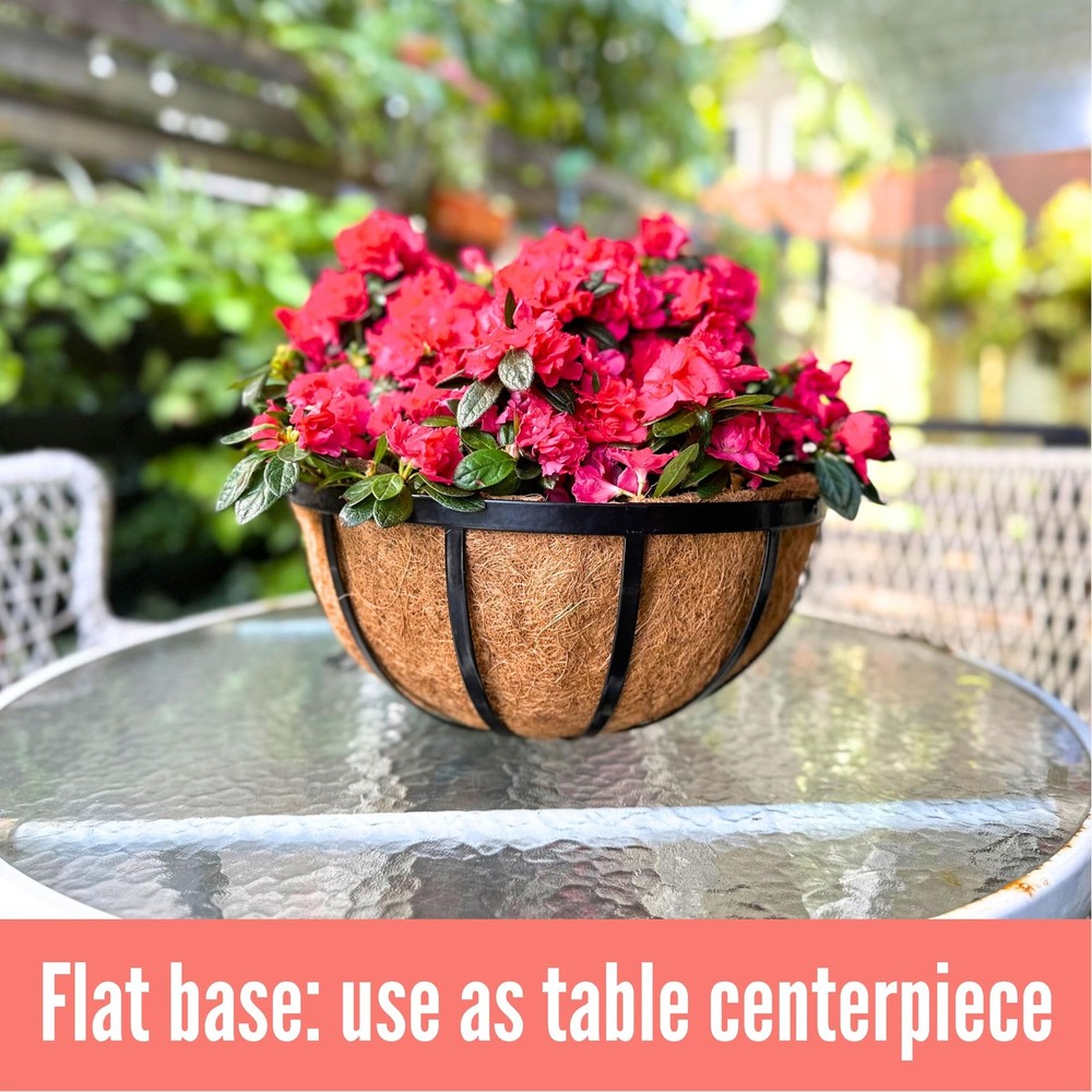 LaLaGreen Bundle- 2 Pack, 20 Inch Hanging Basket with Coco Liner + 2 Pack, 20...