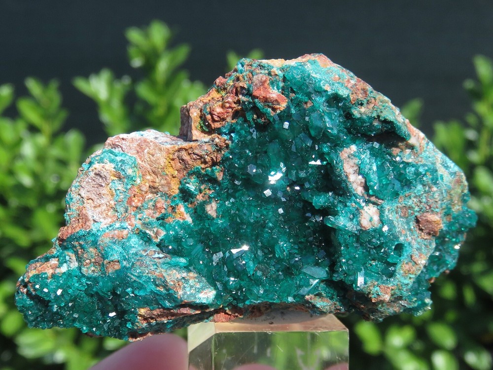 Minerals *** GREEN DIOPTASSIUM on Congo MATRIX