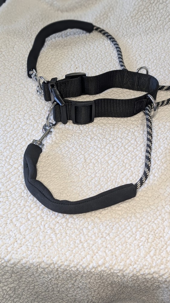 Dog Halter Great For Training Stops Pulling 14-19 Inch Neck Size Medium